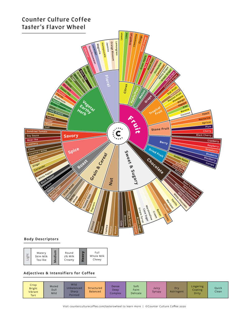 Counter Culture Coffee Taster's Flavor Wheel